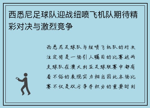 西悉尼足球队迎战纽喷飞机队期待精彩对决与激烈竞争